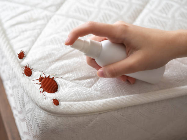 Best Commercial Pest Control Services  in Muenster, TX